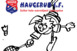Badmintonsommer på Haugerud!